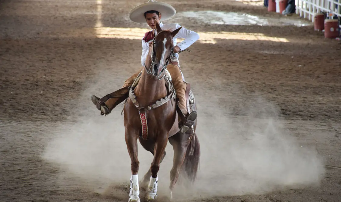 Hacienda Santa Teresa, campeón de leyenda