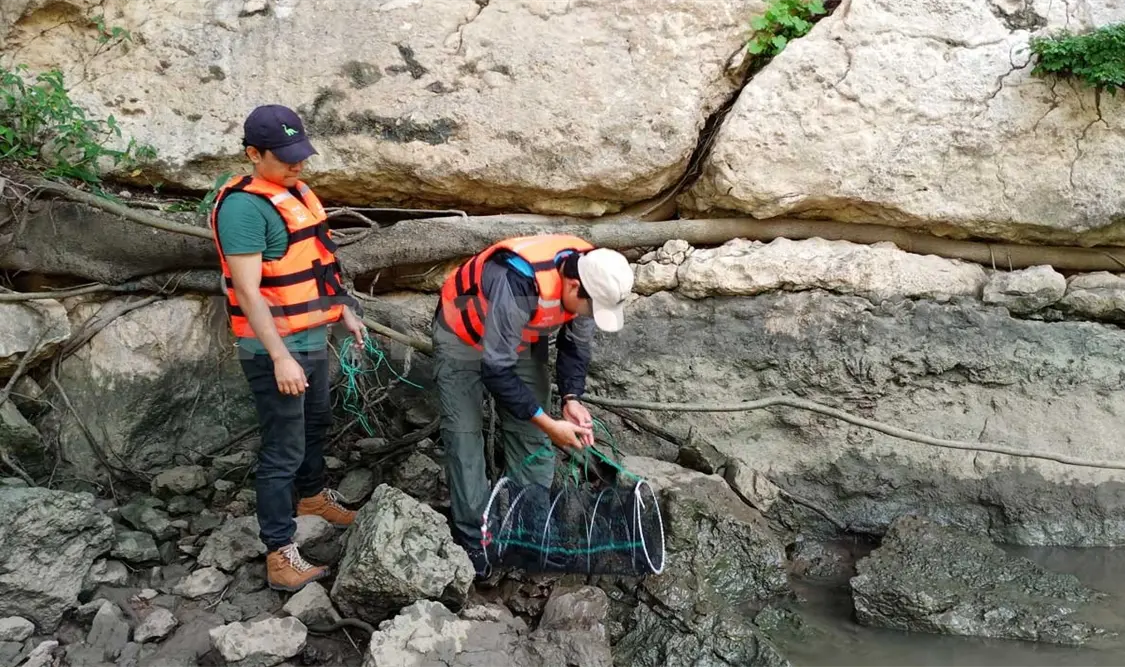 Especies invasoras dañan al Cañón del Sumidero