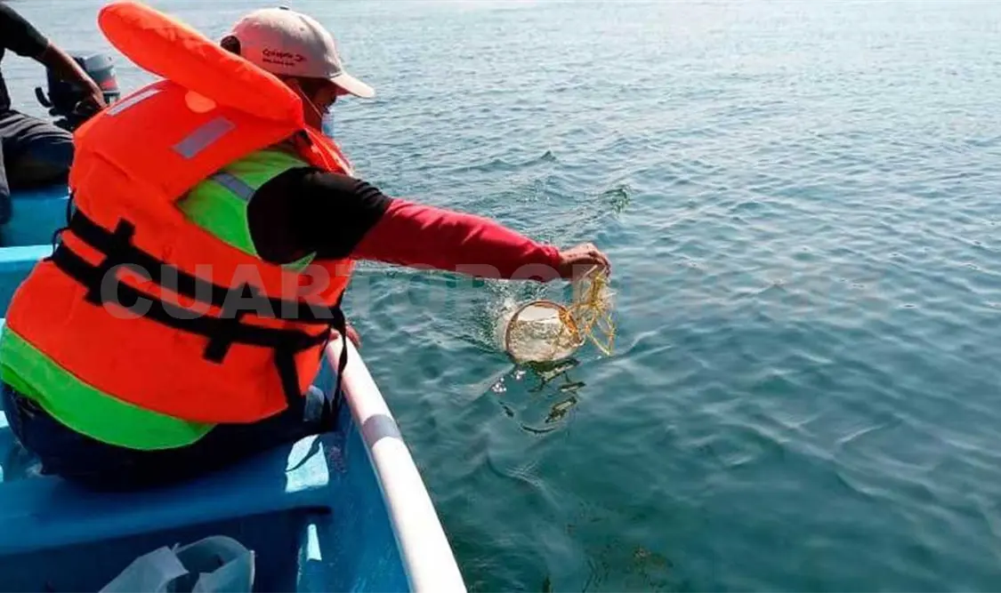 Se monitorea calidad del agua en playas