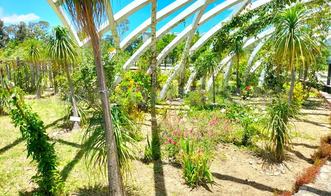Jardín polinizador, refugio de varias especies: Semahn