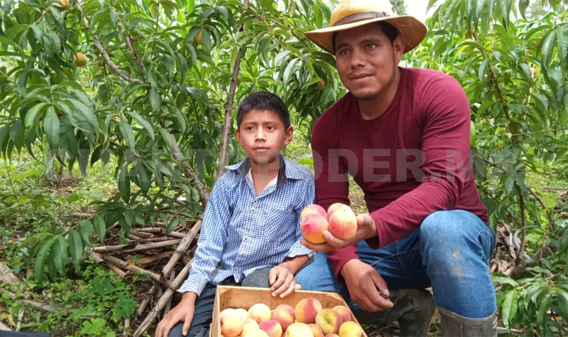 Promueven transición a la agricultura de conservación