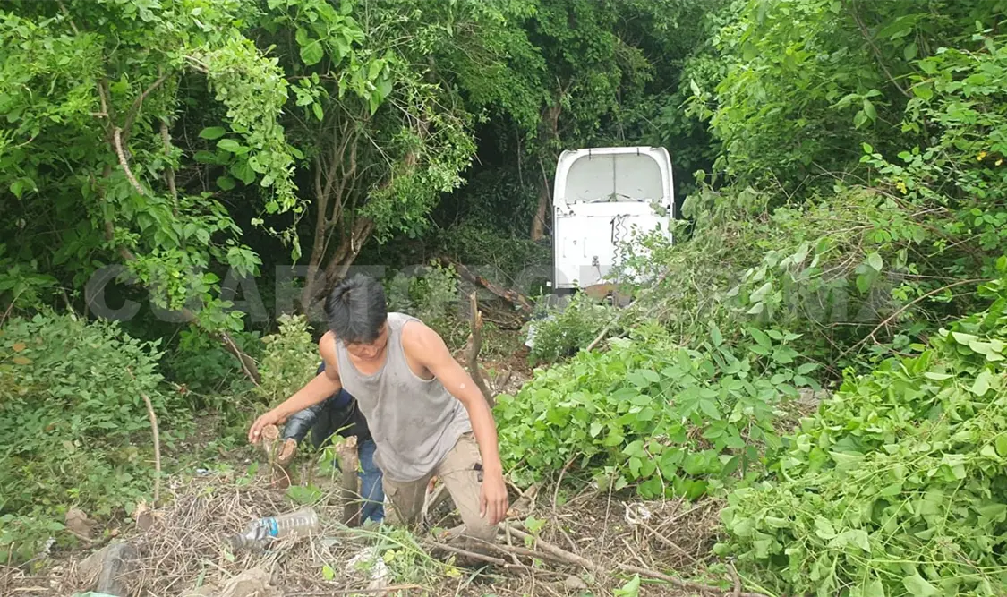 Cae tráiler al fondo de un barranco; chofer se salva