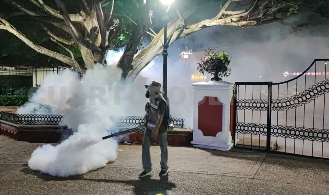 Continúa limpieza y fumigación de colonias