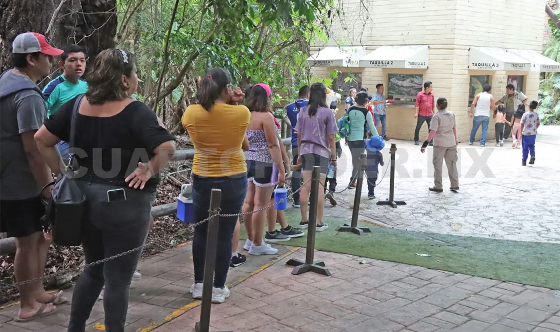 Esperan duplicar los visitantes en el ZooMAT