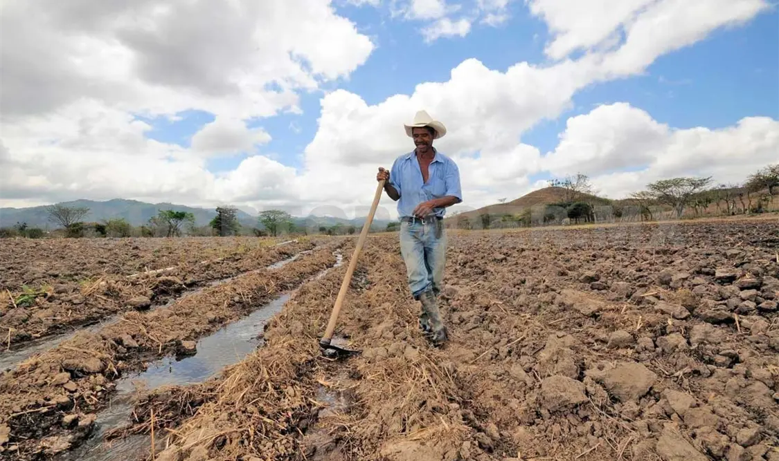 Gobierno Federal busca fortalecer agroindustria