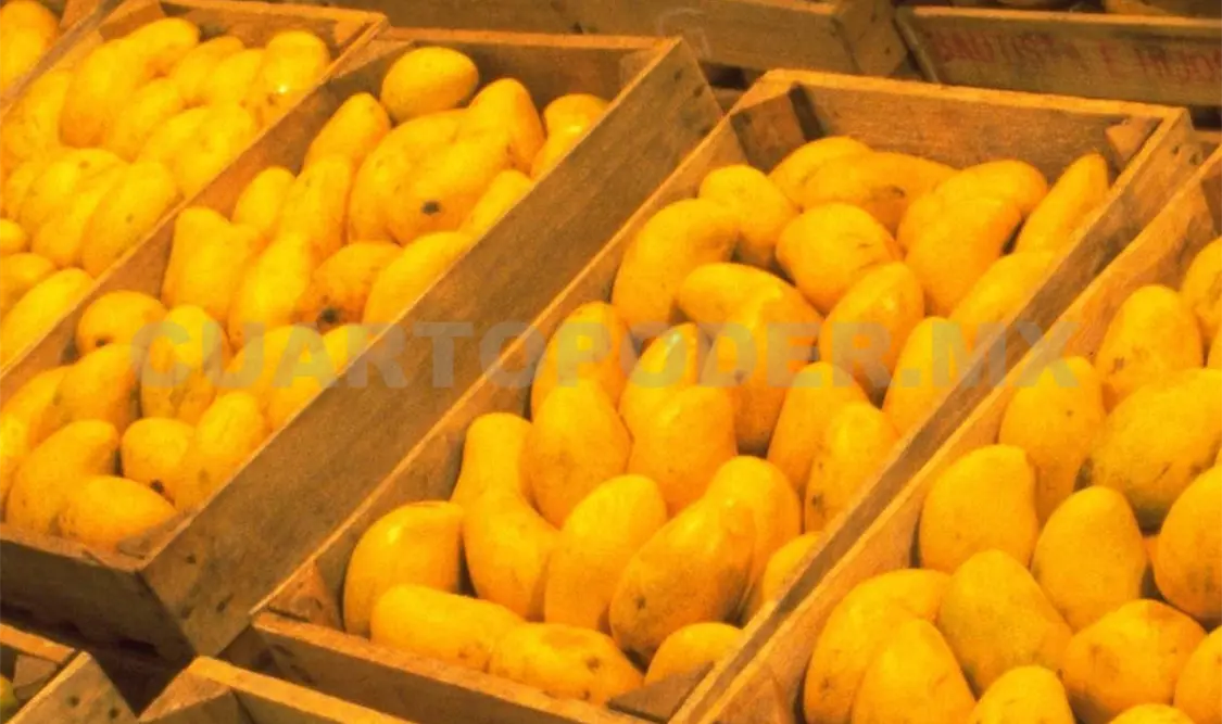 Varias de las acciones que ha emprendido México respecto a alimentos se han dado en Chiapas, al ser frontera con Guatemala. Cortesía