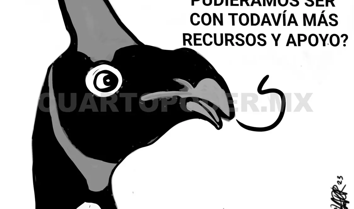 Zoológicos: ¿cárcel o refugio?