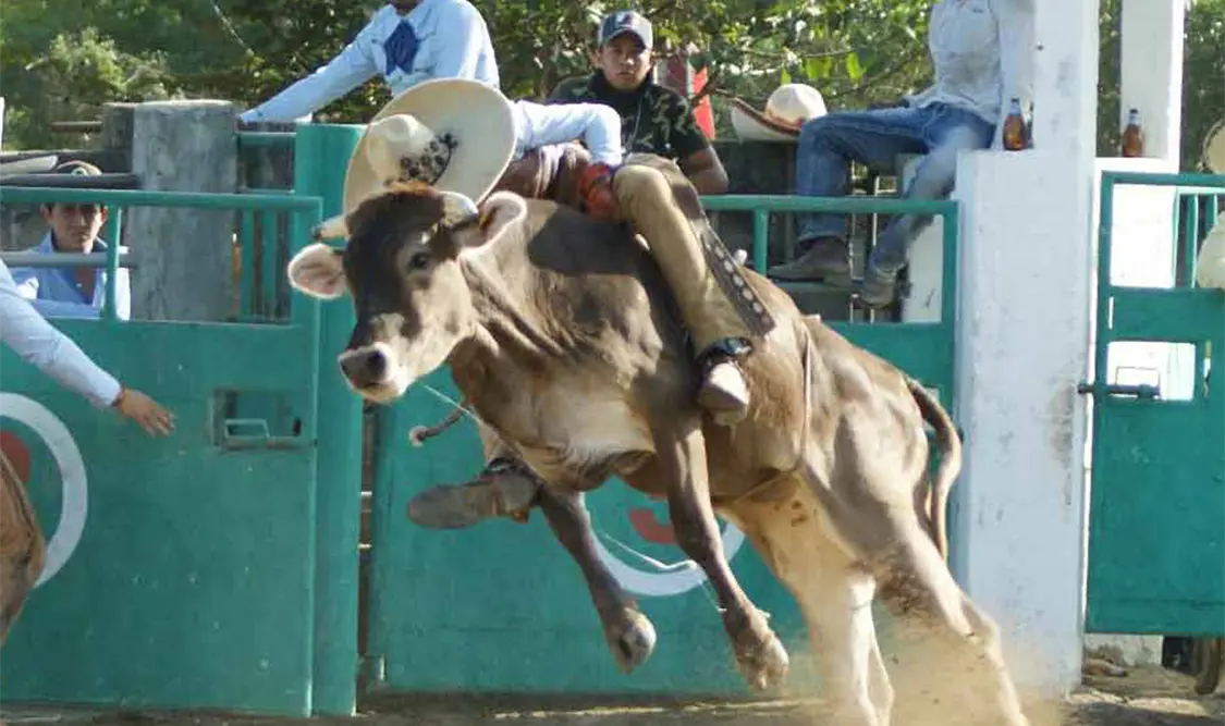 Rancho San Rafael y Jericó se llevan la gloria