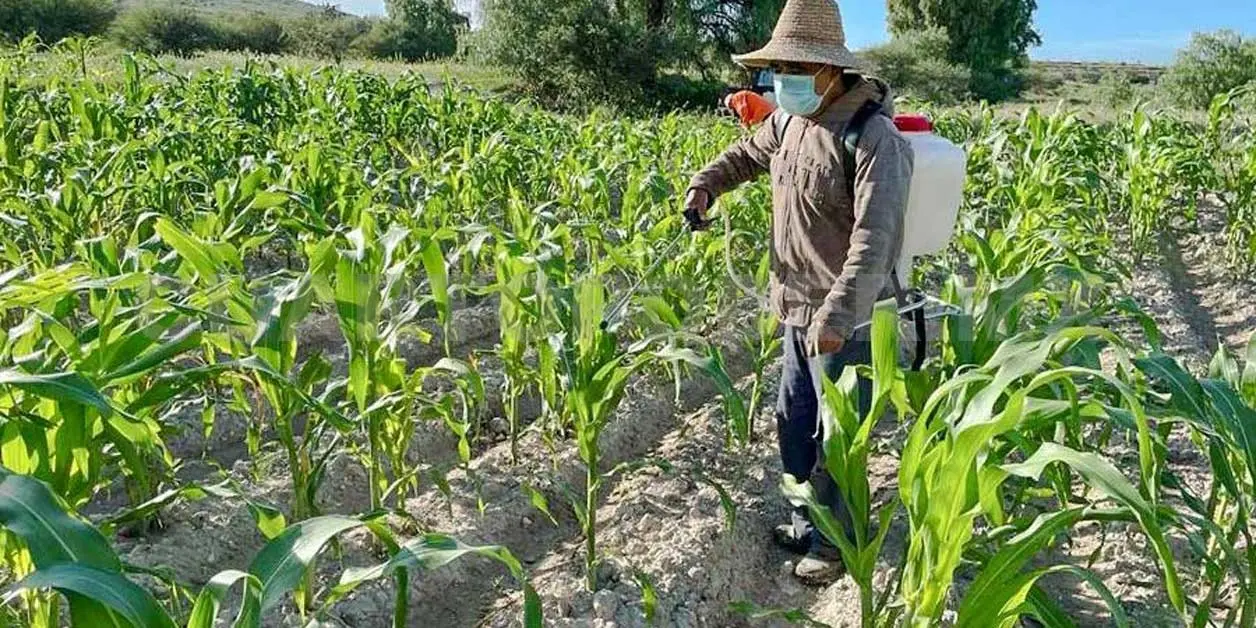 Equipo de protección por agrotóxicos es un derecho