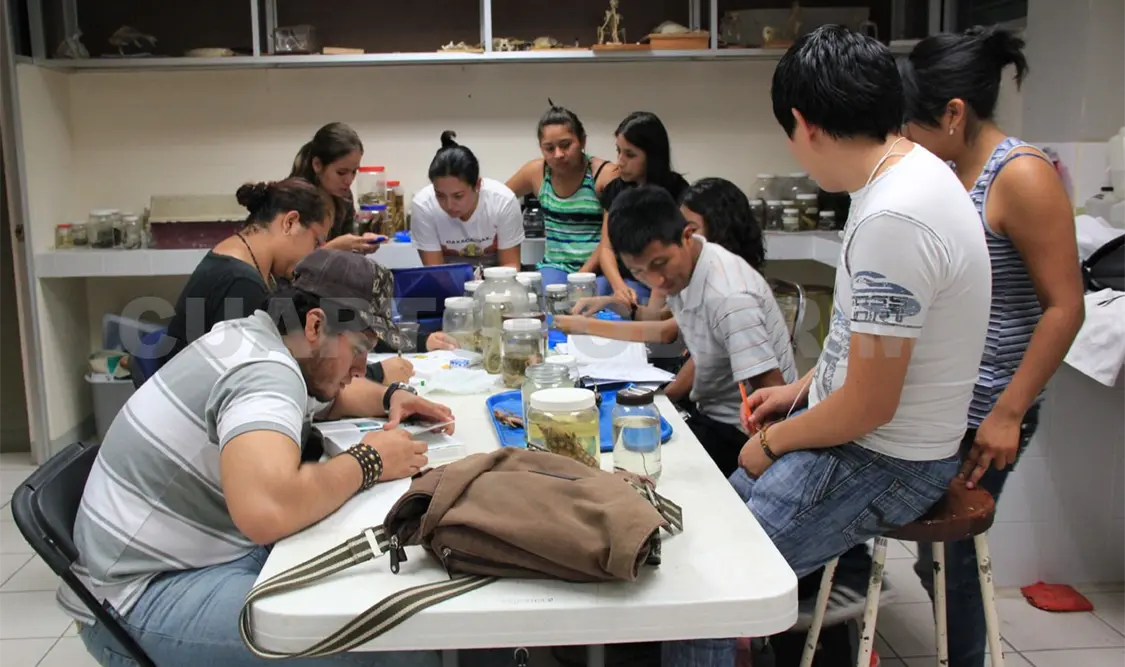 Los mejores proyectos para las juventudes