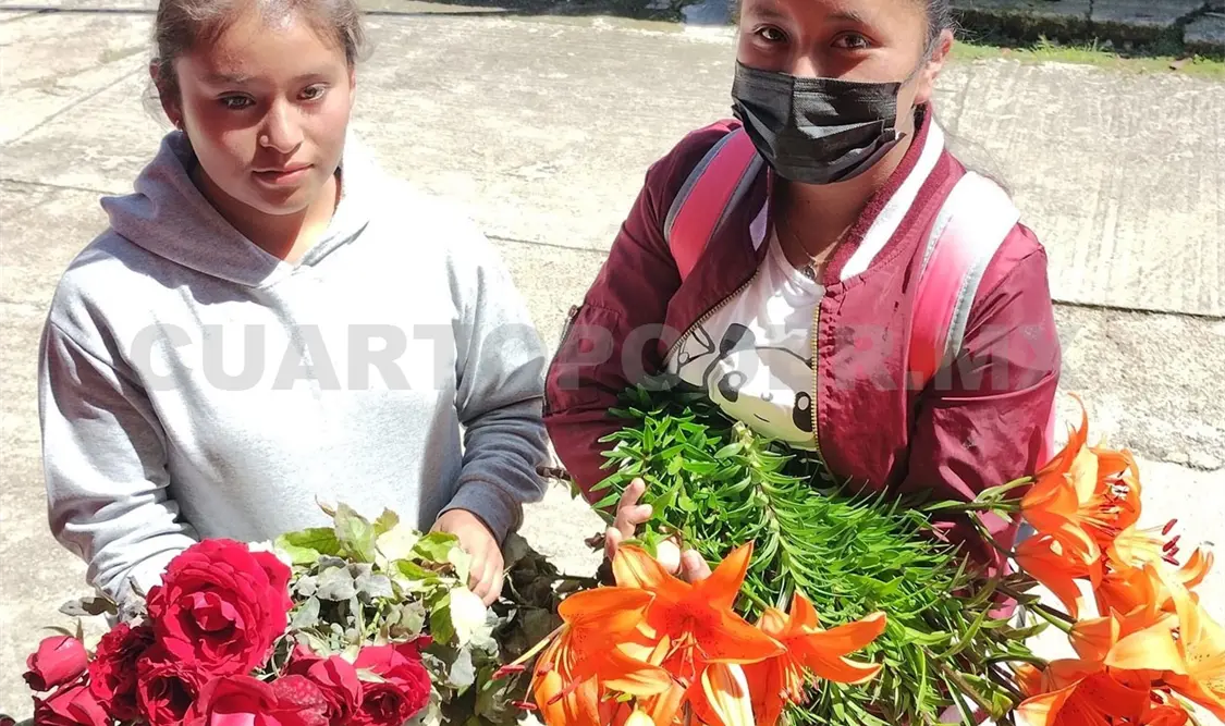 Estudiantes inician venta de plantas de lilis