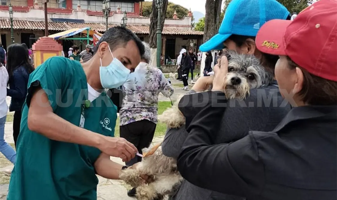 Esenciales médicos veterinarios en la salud pública
