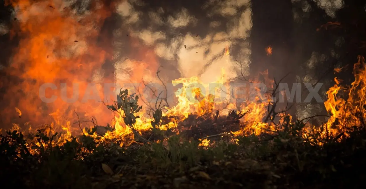 Más de 400 incendios azotaron a Chiapas