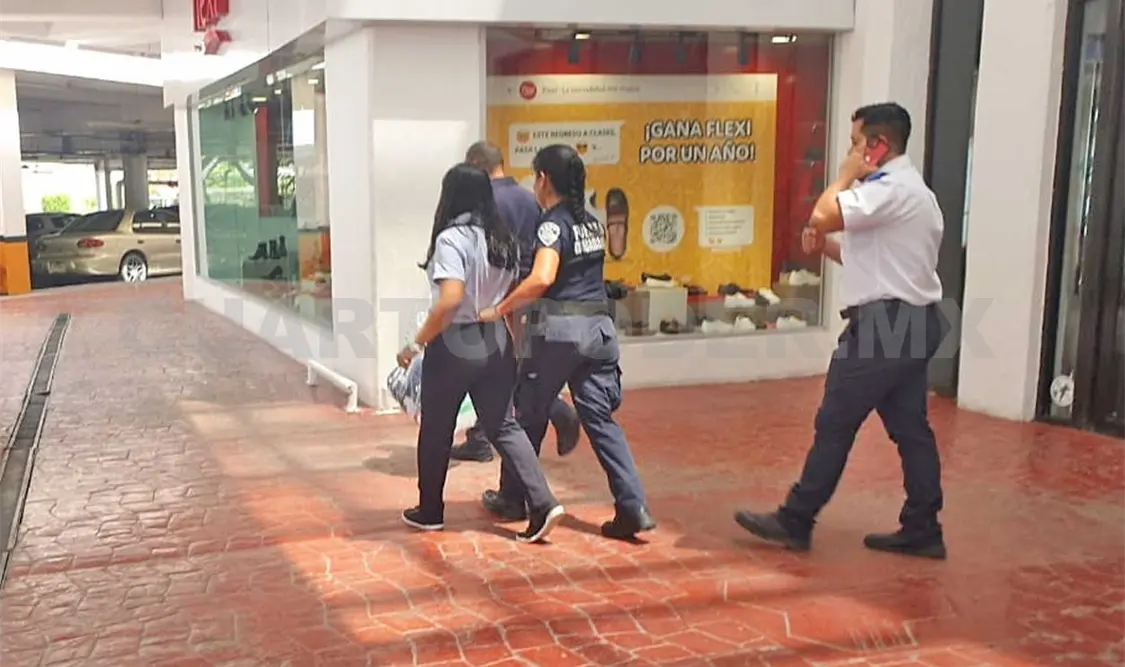 Intenta robar diversos artículos y es detenida