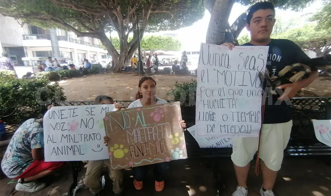 Piden frenar violencias contra perros callejeros