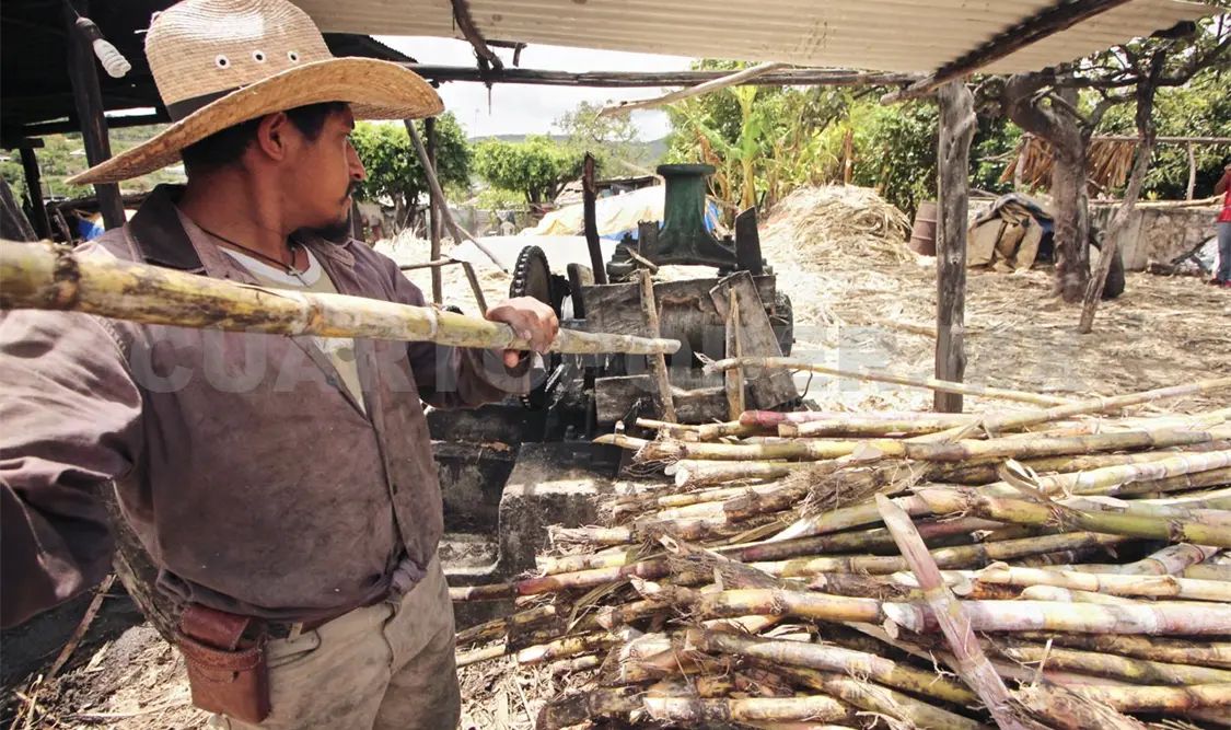 Establecen el 22 de agosto como el Día Nacional del Cañero