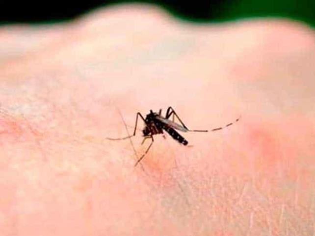 Yucatán, primer lugar en sospechosos de dengue: Salud
