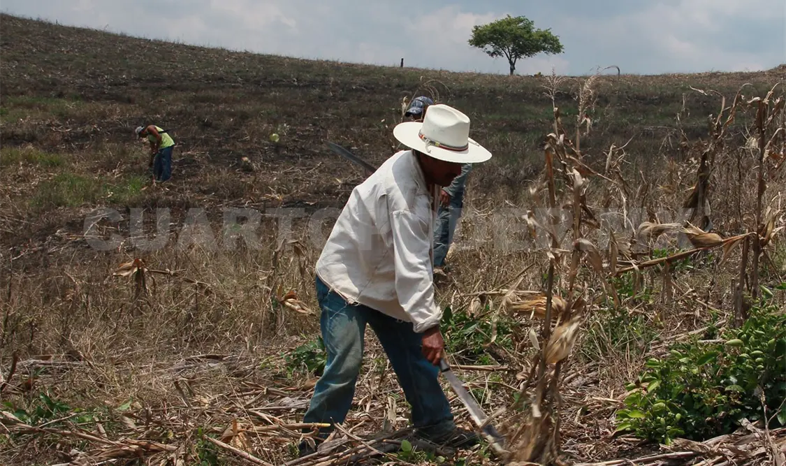 El 54 % de los alimentos consumidos se importan