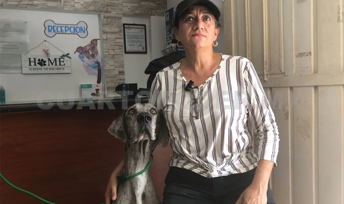 Incrementa abandono de perros de raza