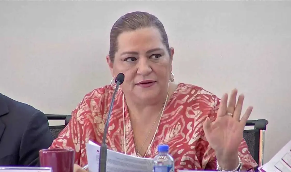 Taddei espera que diputados no recorten presupuesto