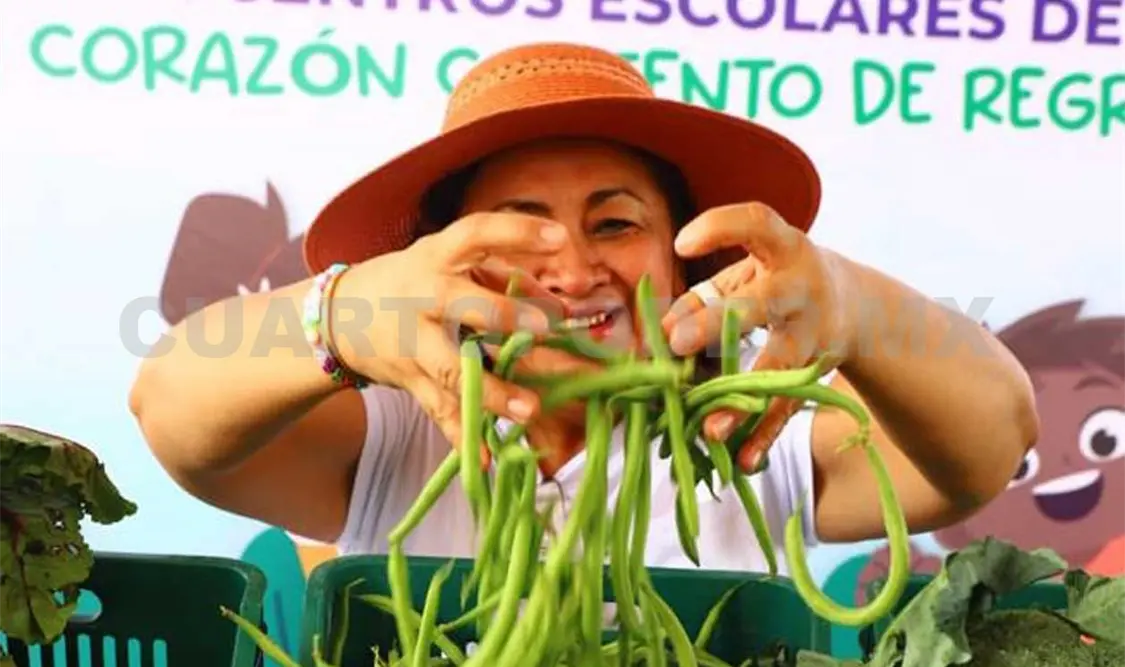 Estudiantes cultivan verduras con el apoyo del gobierno