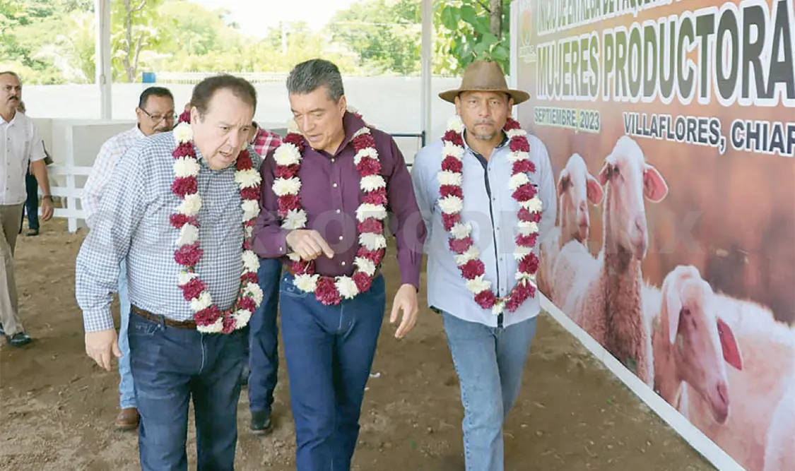 Escandón entrega apoyos a criadores de ovinos y bovinos