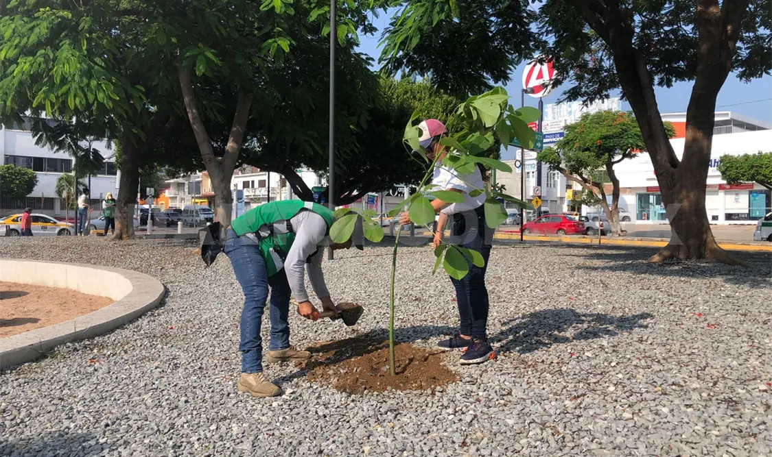 Más de 12 mil árboles plantados en Tuxtla