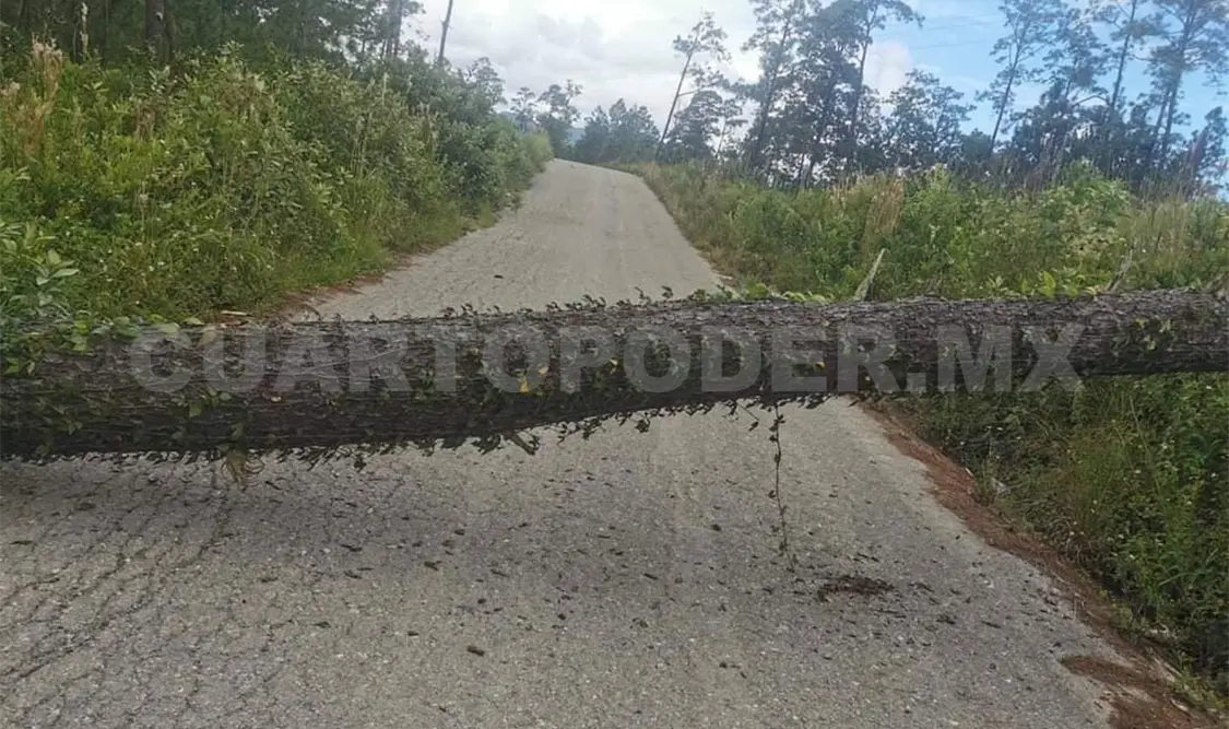 Cierran 16 escuelas por bloqueos en Altamirano