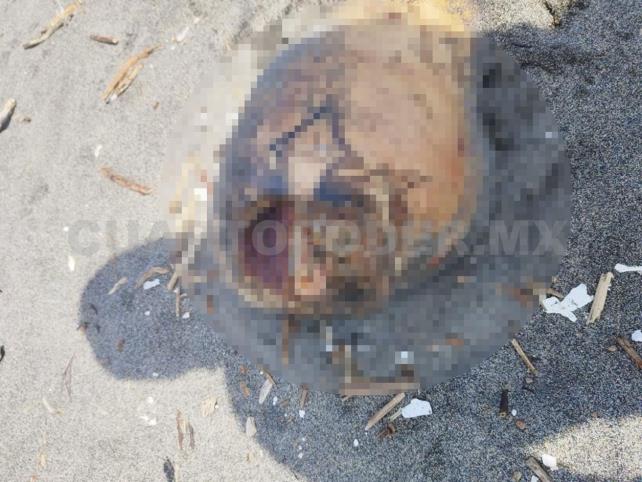 Encuentran restos humanos en la playa de Suchiate