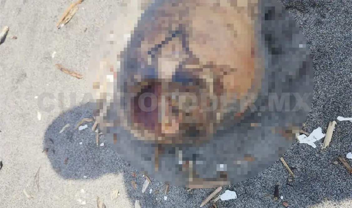 Encuentran restos humanos en la playa de Suchiate