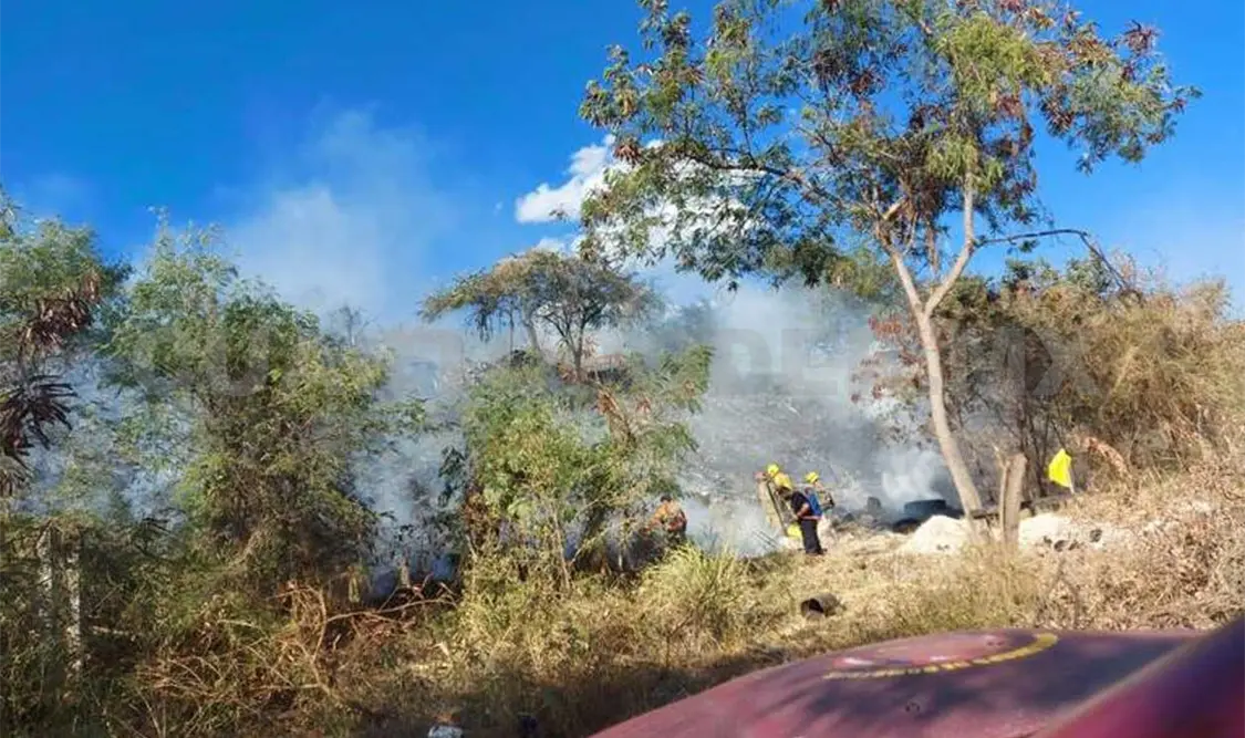 Los lotes baldíos deben mantenerse limpios para evitar incendios, los cuales afectan severamente al medio ambiente. CP