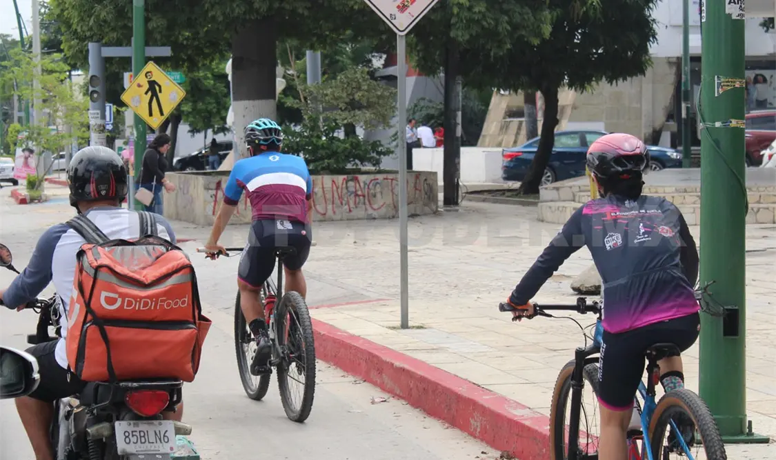 Piden armonizar la Ley de Movilidad y Seguridad Vial
