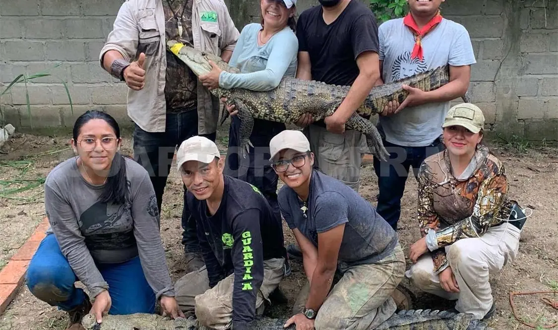 Hay personal de las corporaciones capacitados para atender rescates de fauna. Cortesía
