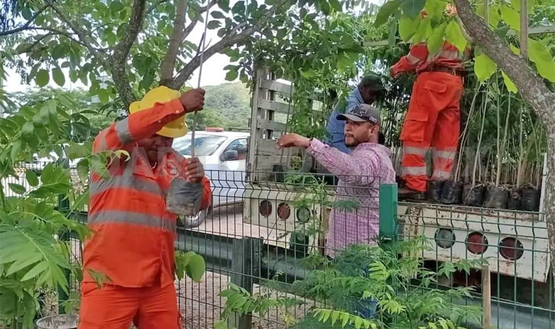 Se realizan trabajos para conservar las ANP de la entidad chiapaneca. Cortesía