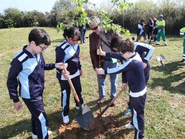 Alumnos plantan más de 22 mil árboles en el país