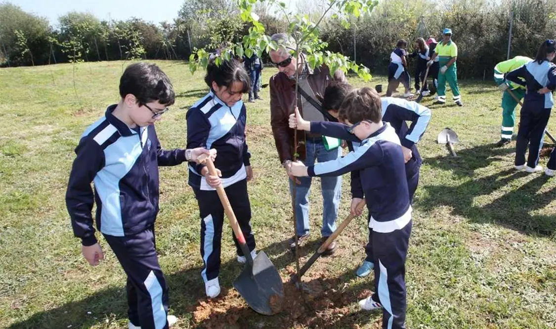 Alumnos plantan más de 22 mil árboles en el país