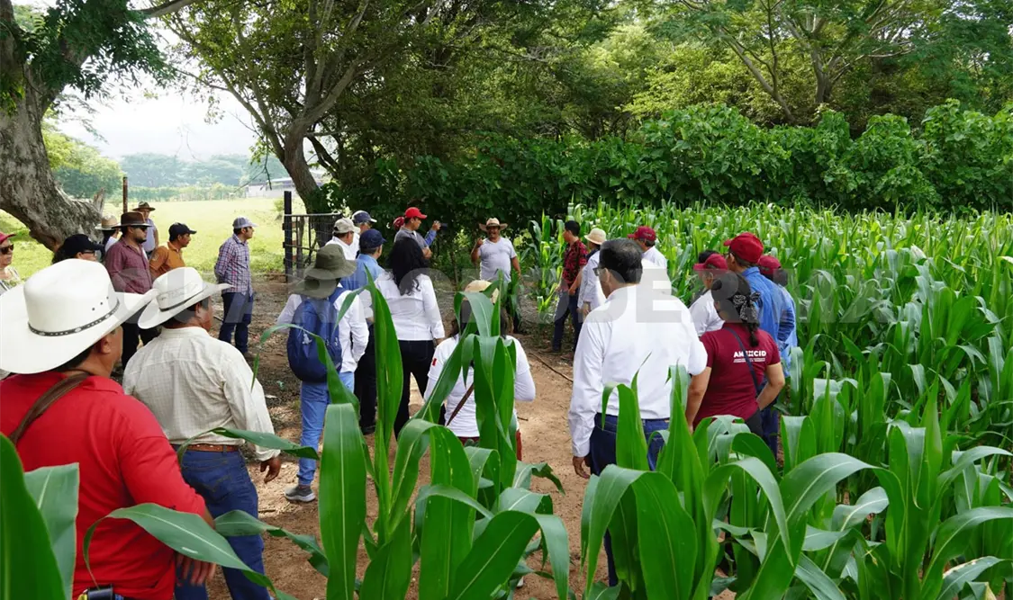 Buscan cooperación para proyecto de agricultura