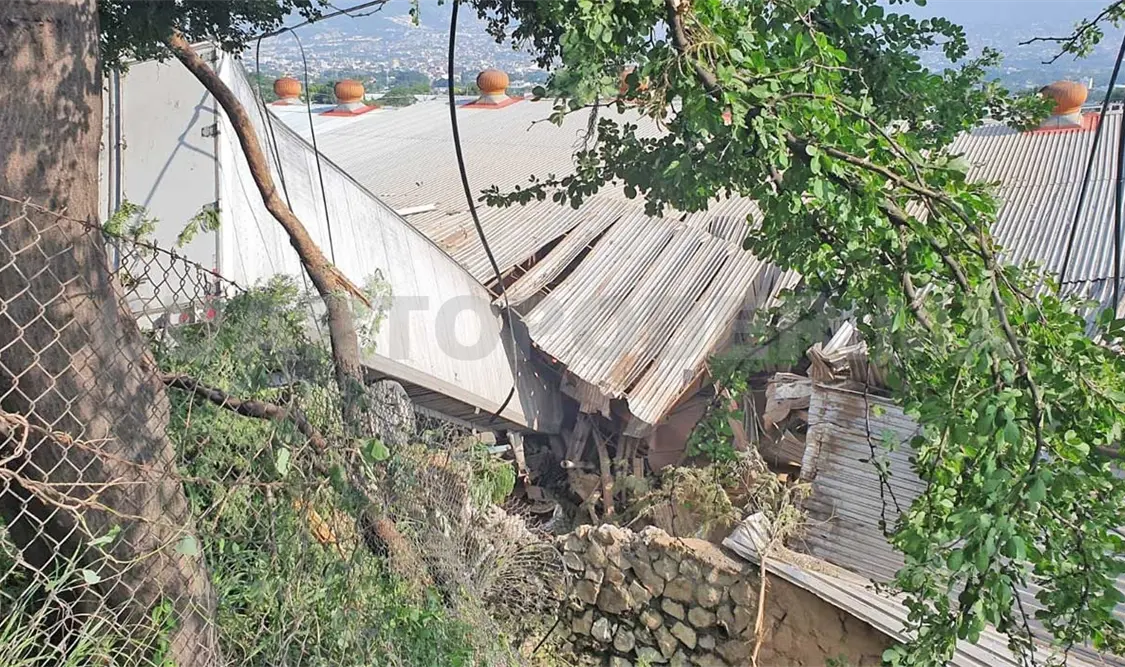 Tráiler se estrella contra una bodega de café