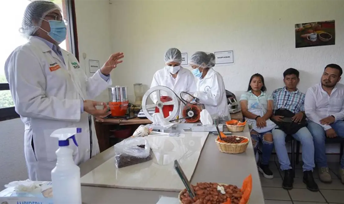 Durante las conferencias y talleres los jóvenes mostraron interés en todo lo que engloba al cacao. Cortesía