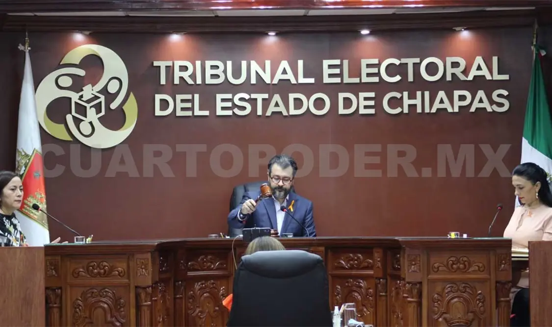 El Tribunal Electoral ha emitido diversas sentencias en la materia. Cortesía