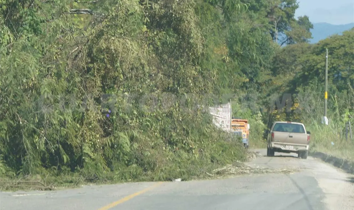 Este problema se agudiza en el ejido Abasolo, municipio de Ocosingo. Juan Sánchez / CP