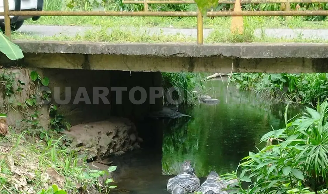 Presuntamente fueron asesinados en otro lado y los tiraron al río durante la madrugada del lunes. Víctor Sánchez / CP