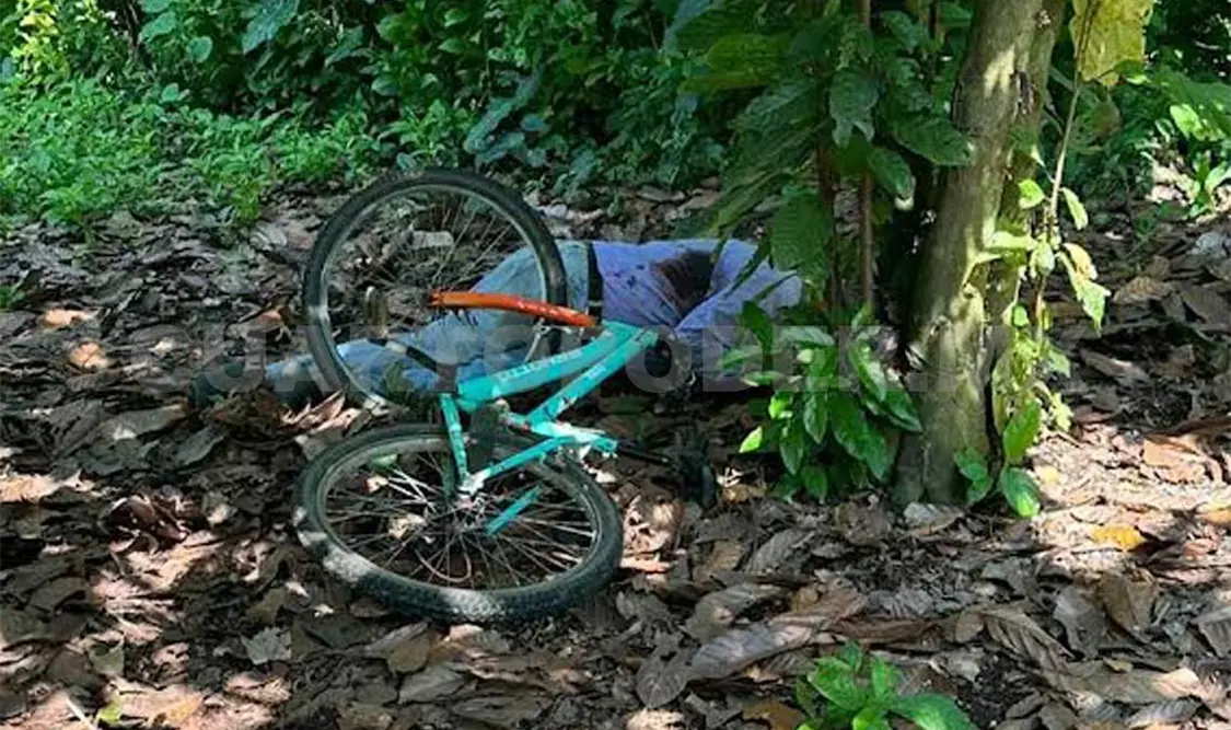 El labriego al parecer iba en su bicicleta cuando fue atacado a balazos, quedando al pie de un árbol de cacao y junto a su bicicleta. Víctor Sánchez / CP