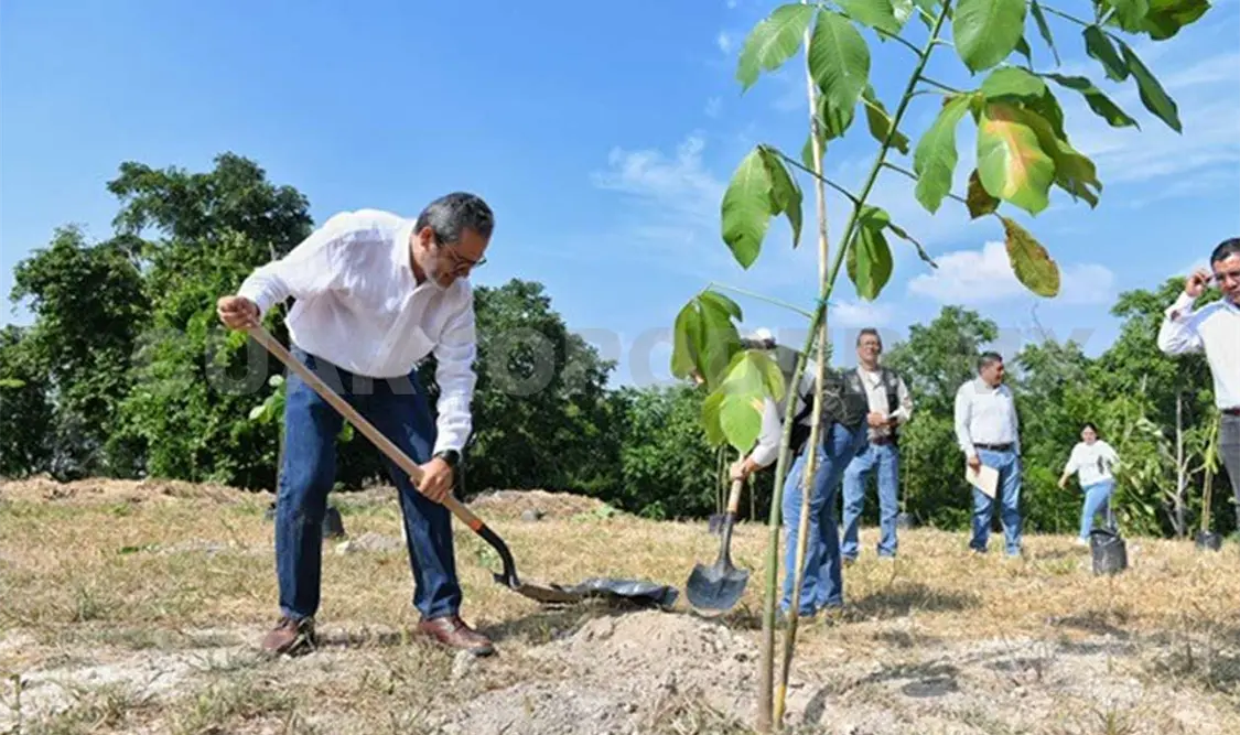 Natarén Nandayapa mantiene su compromiso social como parte de la política integral de preservación ecológica. CP