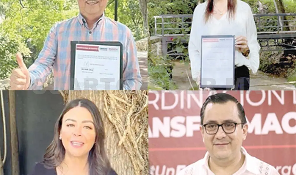 Los cuatro personajes nombrados participarán en la encuesta para ser coordinadores estatales de la Cuarta Transformación. CP