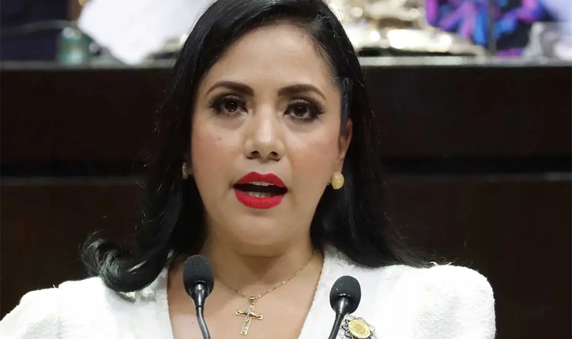 Diputada Juanita Guerra presentará iniciativa. Cortesía