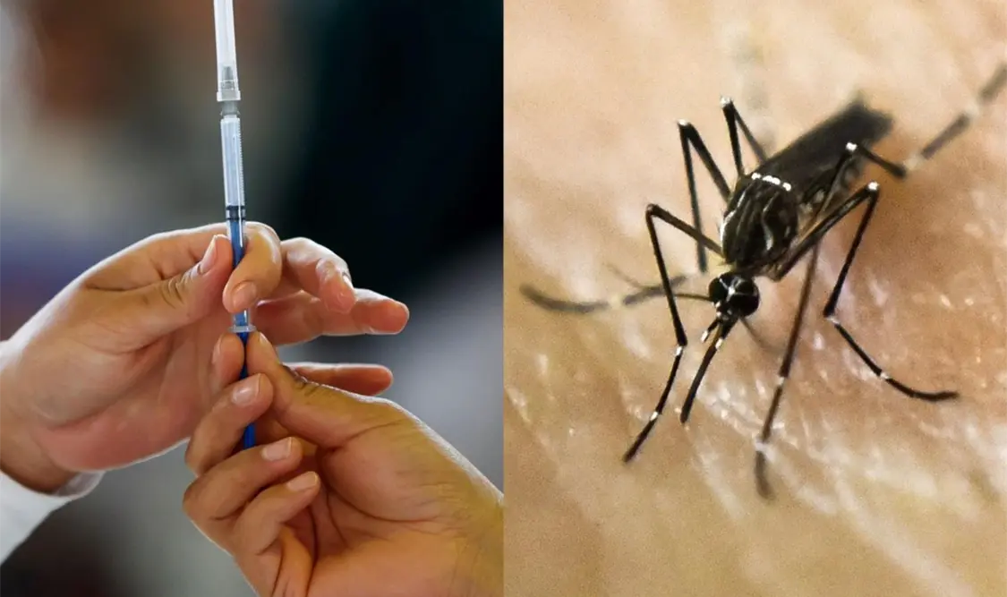 Recomiendan la primera vacuna contra el dengue
