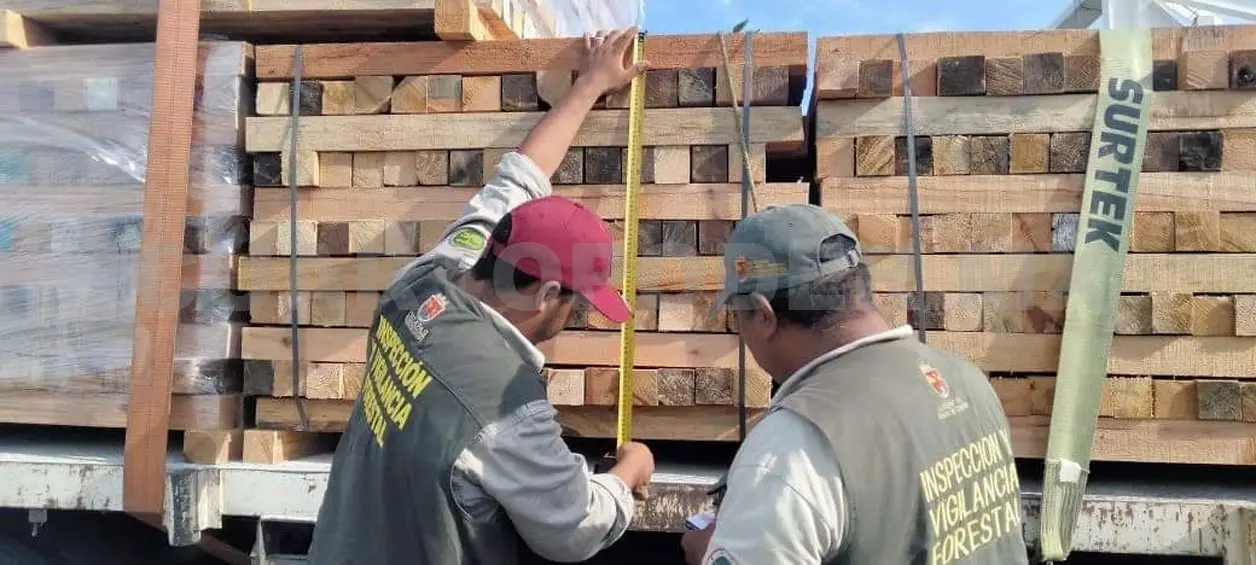 Llaman a verificar procedencia de productos forestales