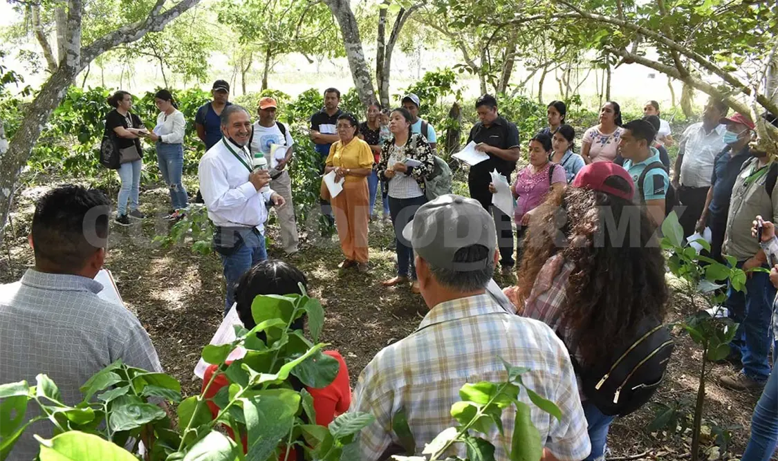 El fortalecimiento a pequeños productores de café es prioridad