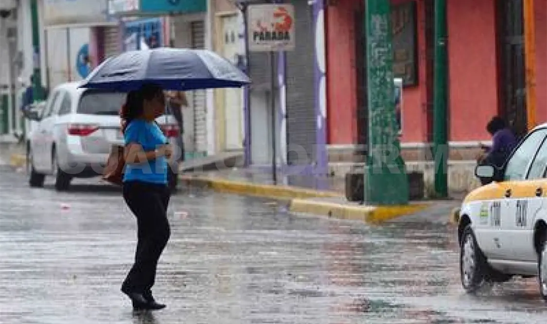 Lluvias provocan caída de árboles y encharcamientos